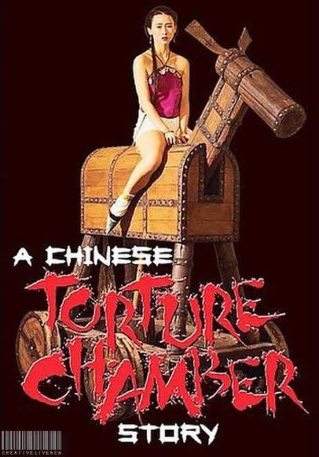 A Chinese Torture Chamber Story