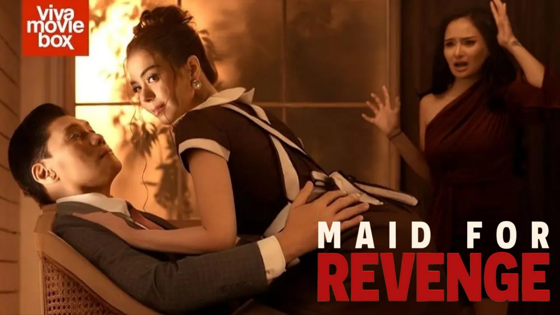 Maid for Revenge – Viva Movie Box (2026)